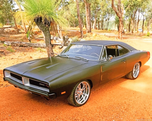 1969 Dodge Charger Matte Black New Paint By Numbers.png