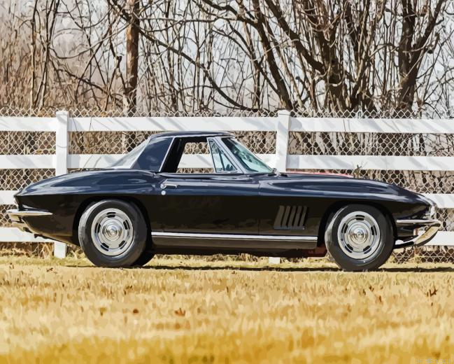 67 Stingray Paint By Numbers.png