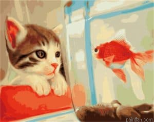 A Cat And A Red Fish Animals Paint By Numbers.png