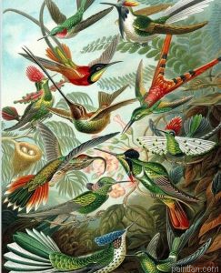 A Flock Of Birds Paint By Numbers.png