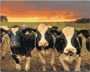 A Herd Of Cows Animals Paint By Numbers.png
