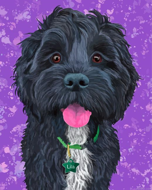 Abstract Black Cockapoo Paint By Numbers.png