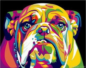 Abstract Bulldog Animals Paint By Numbers.png