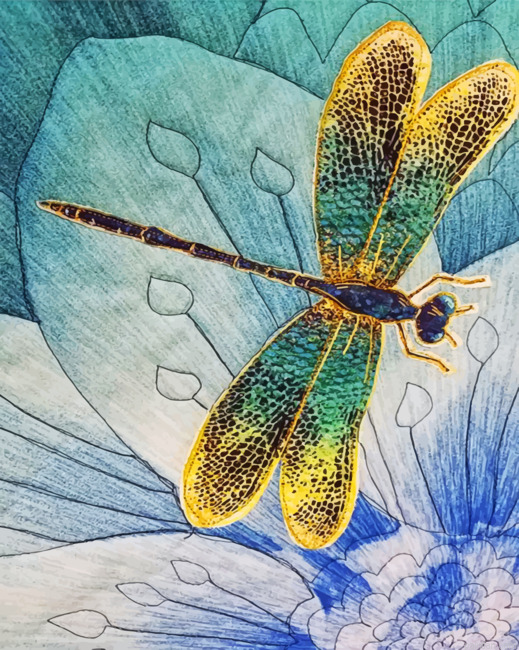 Abstract Dragonfly Paint By Numbers.png