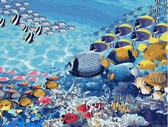Abstract Fish Swimming Diy Paint By Numbers.png