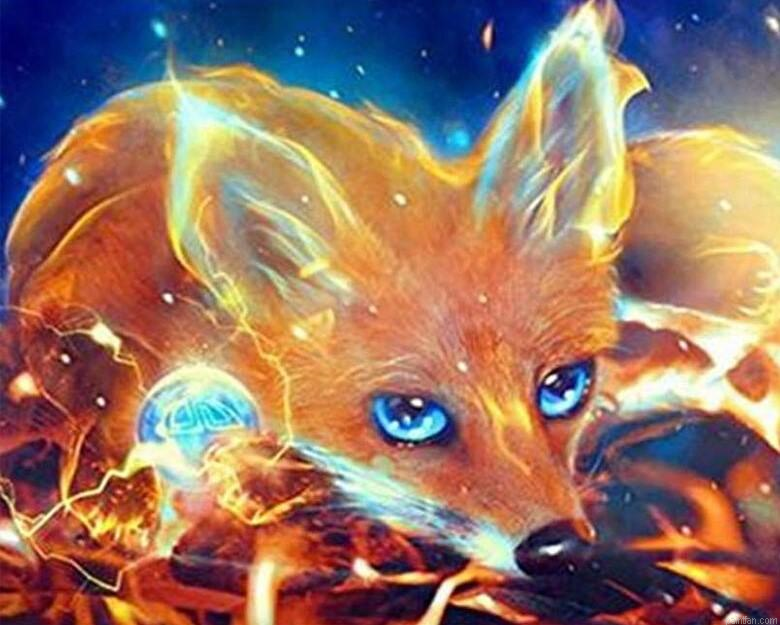 Abstract Fox Paint By Numbers.png