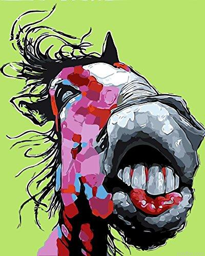 Abstract Funny Horse Animals Paint By Numbers.png