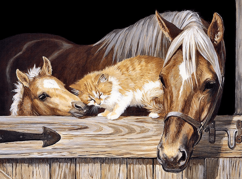 Abstract Horse And Cat Animals Paint By Numbers.png