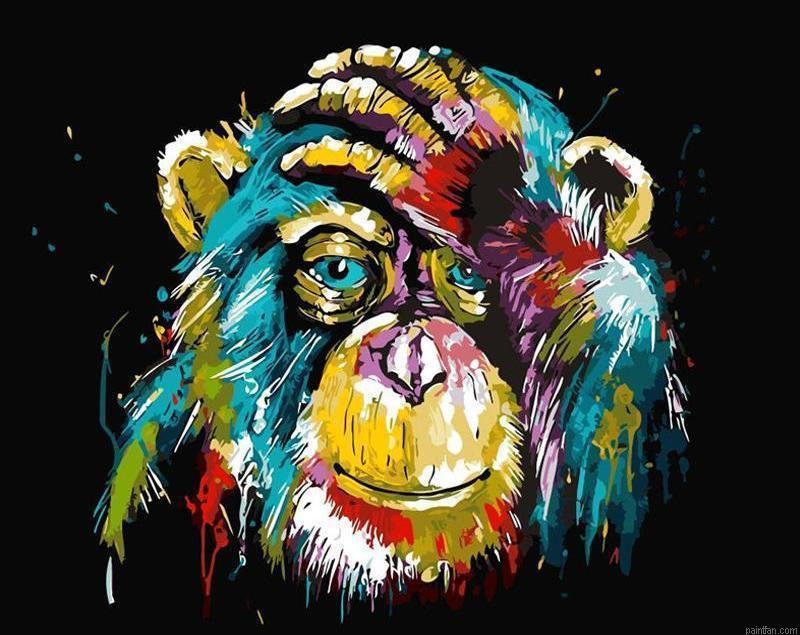 Abstract Monkey Animals Paint By Numbers.png