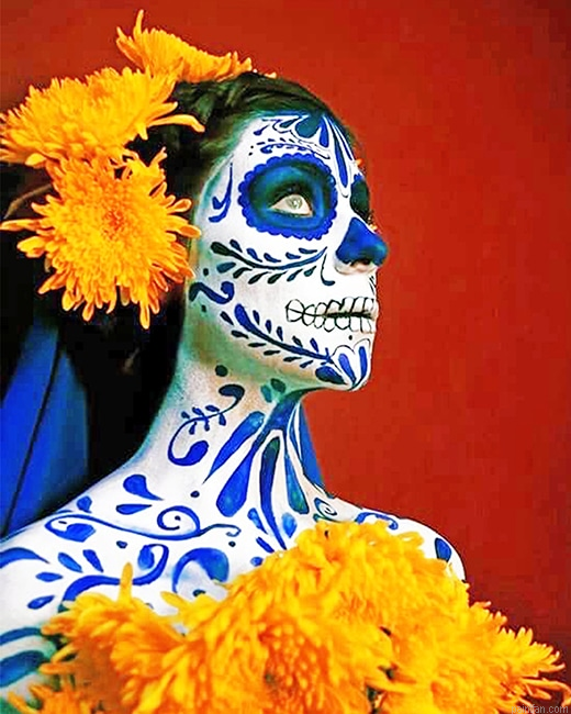 Abstract Skull Woman New Paint By Numbers.png