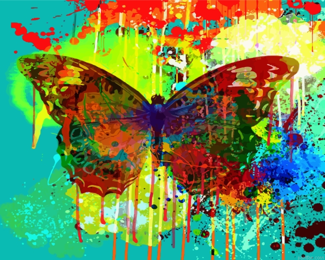 Abstract Splash Butterfly Paint By Number.png