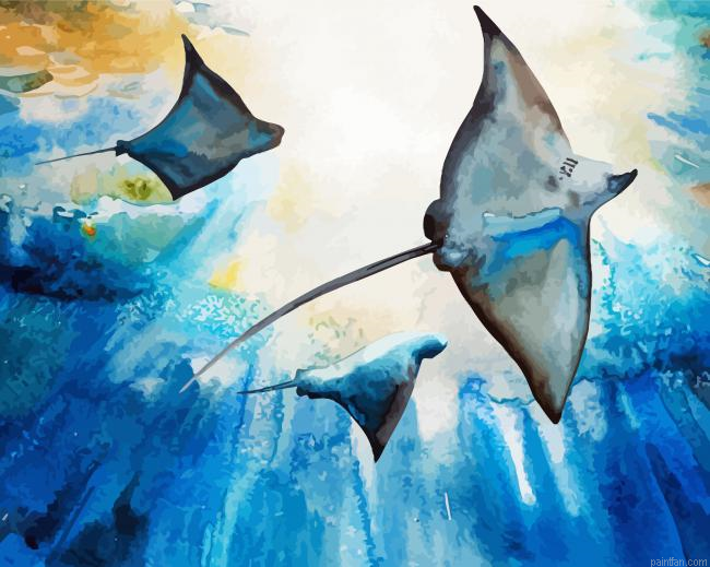 Abstract Stingrays Paint By Numbers.png