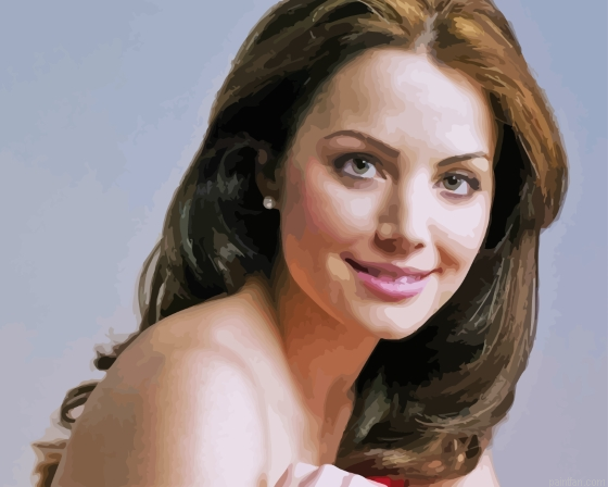 Actress Erica Durance Paint By Numbers.png