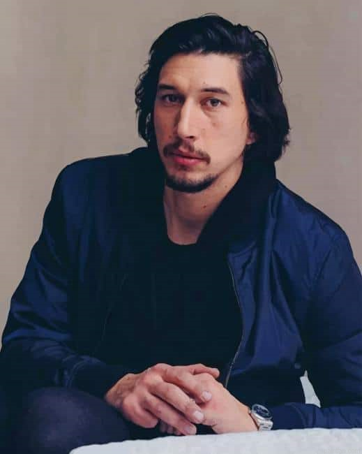 Adam Driver New Paint By Numbers.png