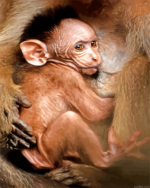 Adorable Baby Macaque Paint By Number.png