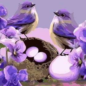 Adorable Birds Paint By Numbers.png