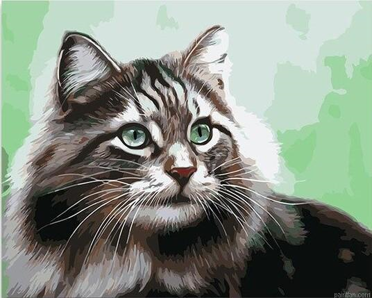 Adorable Cat Paint By Numbers.png