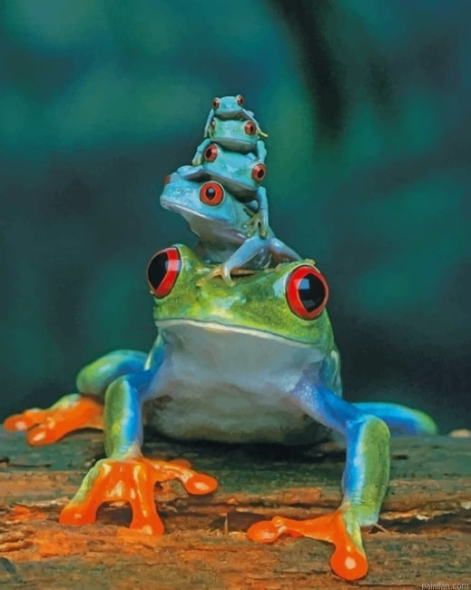 Adorable Frogs New Paint By Numbers.png