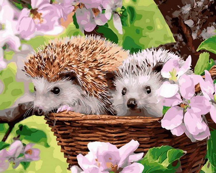 Adorable Hedgehog Paint By Numbers.png