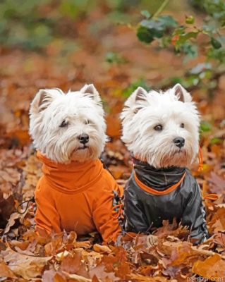 Adorable Westie Dogs Paint By Number.png