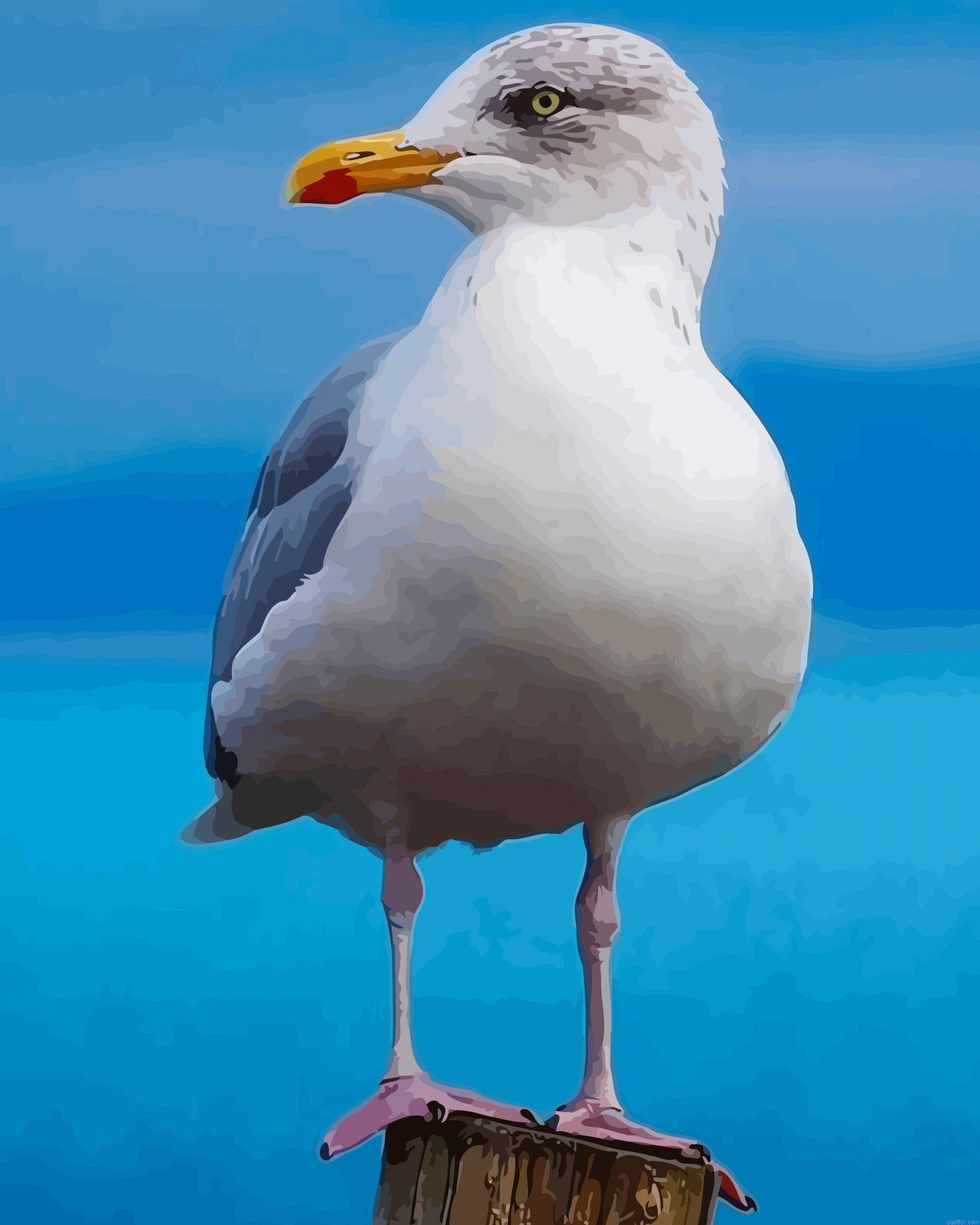 Aestehtic Seagull Bird Paint By Numbers.png