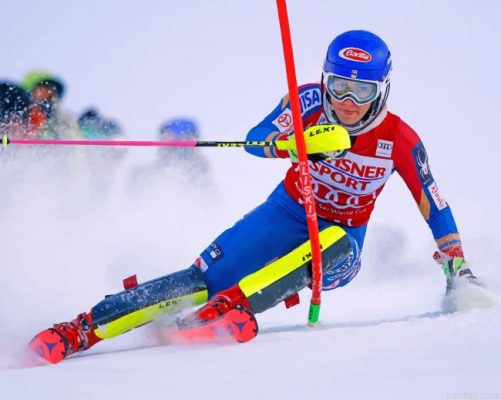 Aesthetic Alpine Skiing Paint By Number.png