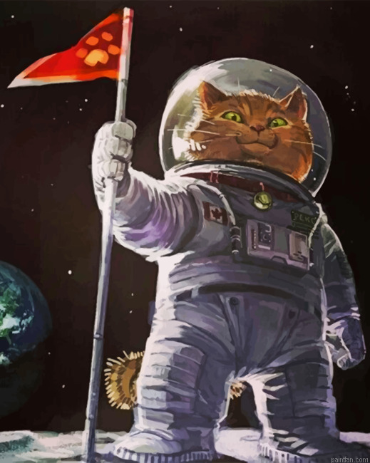 Aesthetic Astronaut Cat Paint By Numbers.png