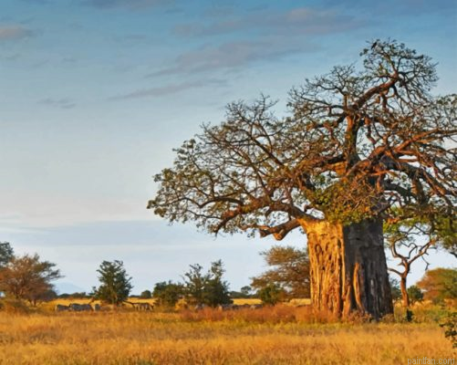 Aesthetic Baobab Tree Paint By Number.png