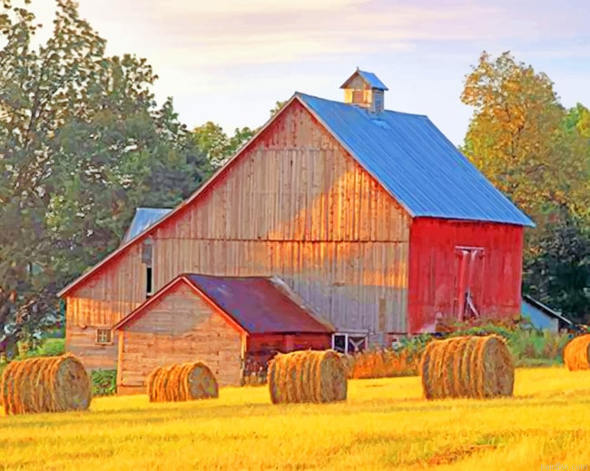 Aesthetic Barn Farms Paint By Numbers.png