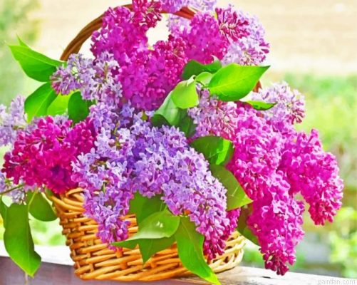 Aesthetic Basket Of Lilac Flowers Paint By Number.png