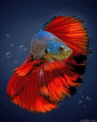 Aesthetic Betta Fish Paint By Number.png