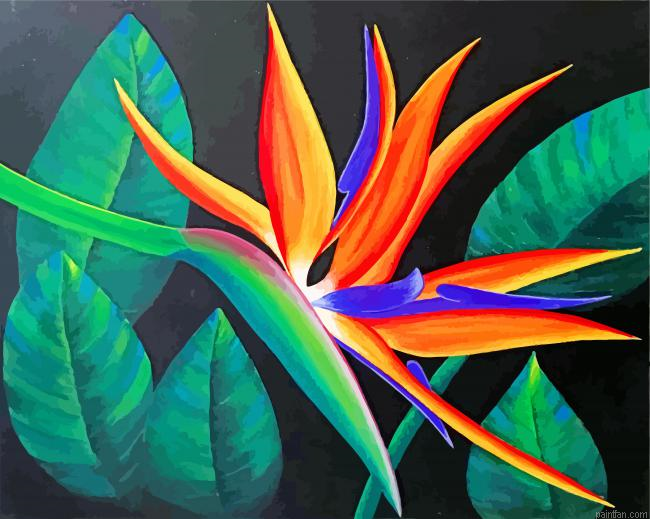 Aesthetic Bird Of Paradise Flower Paint By Number.png