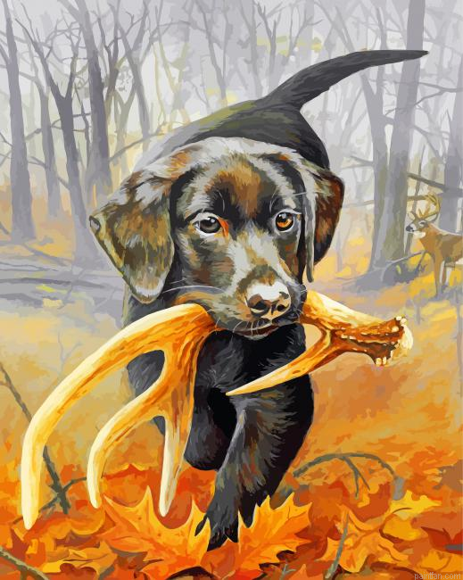Aesthetic Black Dog Paint By Number.png