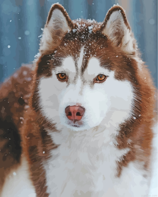 Aesthetic Brown Husky Snow Paint By Number.png