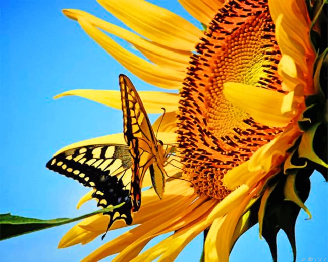 Aesthetic Butterfly And Flower Insects Paint By Numbers.png