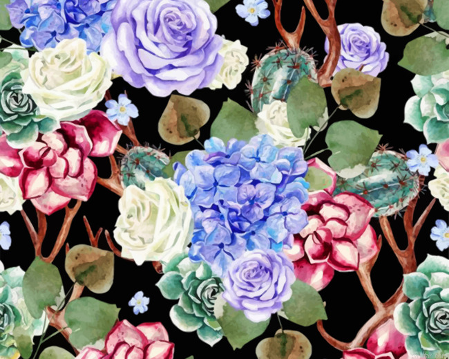 Aesthetic Cactus And Flowers Paint By Number.png