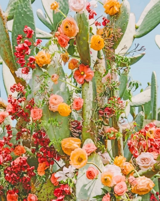 Aesthetic Cactus Flower New Paint By Numbers.png