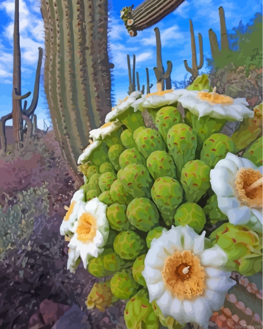 Aesthetic Cactus Paint By Number.png