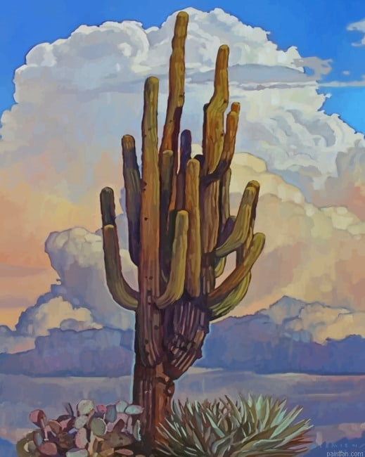 Aesthetic Cactus Plant New Paint By Numbers.png