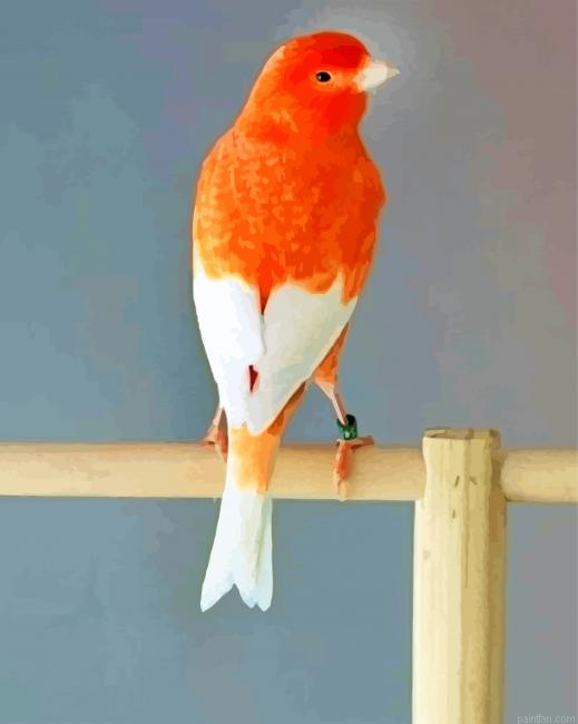 Aesthetic Canary Bird Paint By Number.png