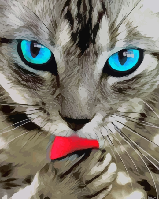 Aesthetic Cat Paint By Number.png