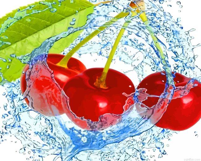 Aesthetic Cherries Paint By Number.png