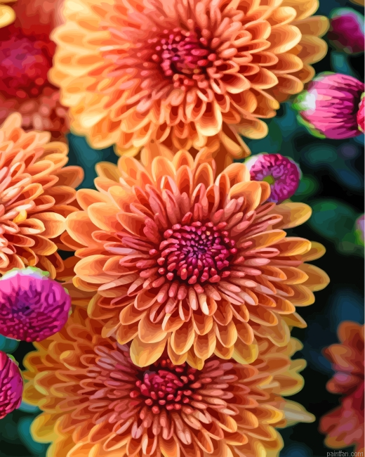 Aesthetic Chrysanthemum Paint By Number.png