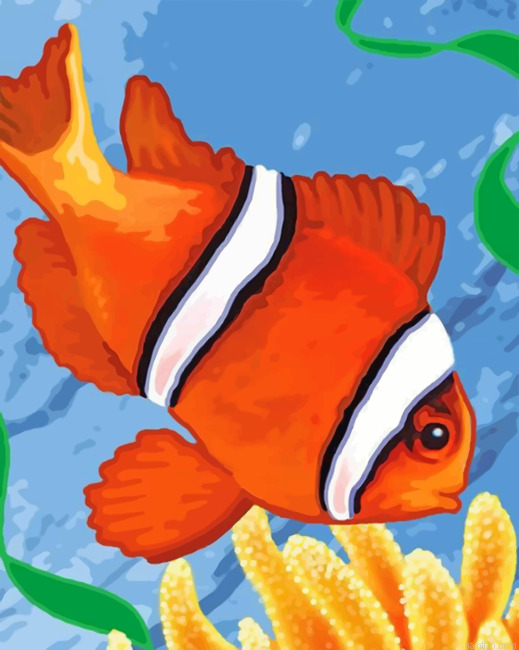 Aesthetic Clown Fish Paint By Number.png