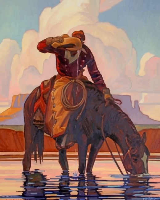 Aesthetic Cowboy New Paint By Numbers.png