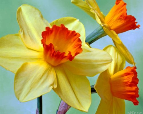 Aesthetic Daffodils Paint By Number.png