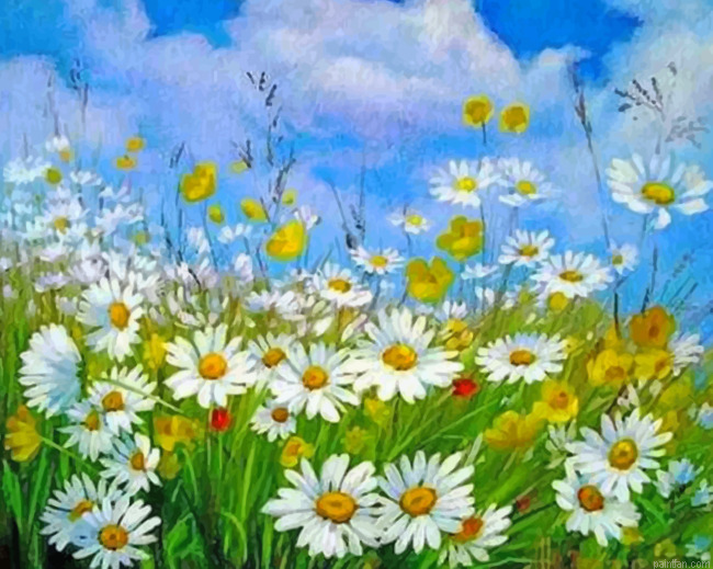 Aesthetic Daisy Field Paint By Numbers.png