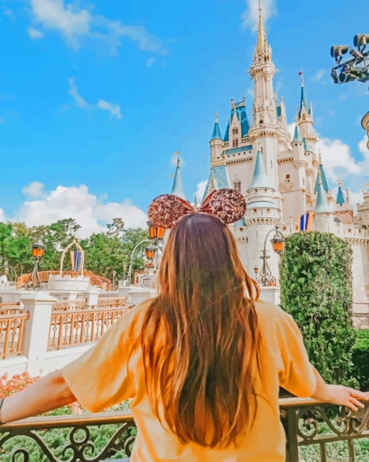 Aesthetic Girl In Disney Paint By Numbers.png