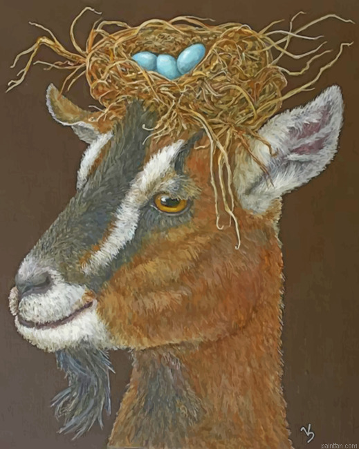 Aesthetic Goat Paint By Numbers.png