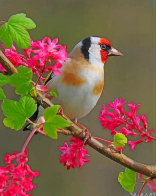 Aesthetic Goldfinch Bird Paint By Number.png